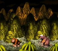 Donkey Kong Country sur Nintendo Super Nes